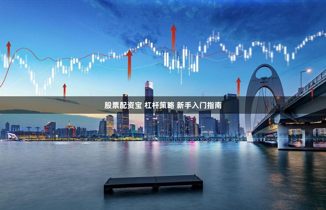 股票配资宝 杠杆策略 新手入门指南