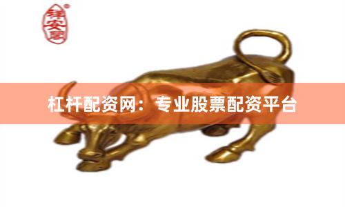 杠杆配资网：专业股票配资平台